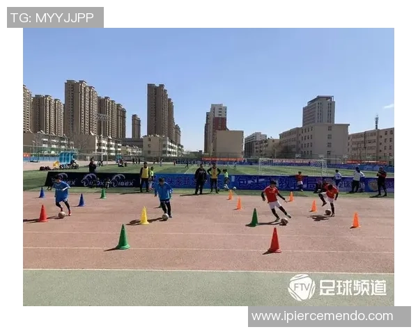 南京足球队在精英赛中的战术表现分析与总结